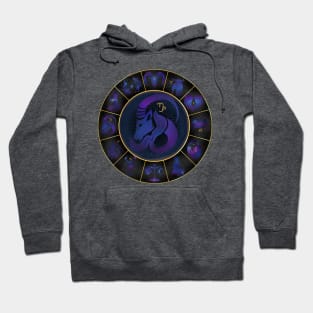 Capricorn: The sea goat Hoodie